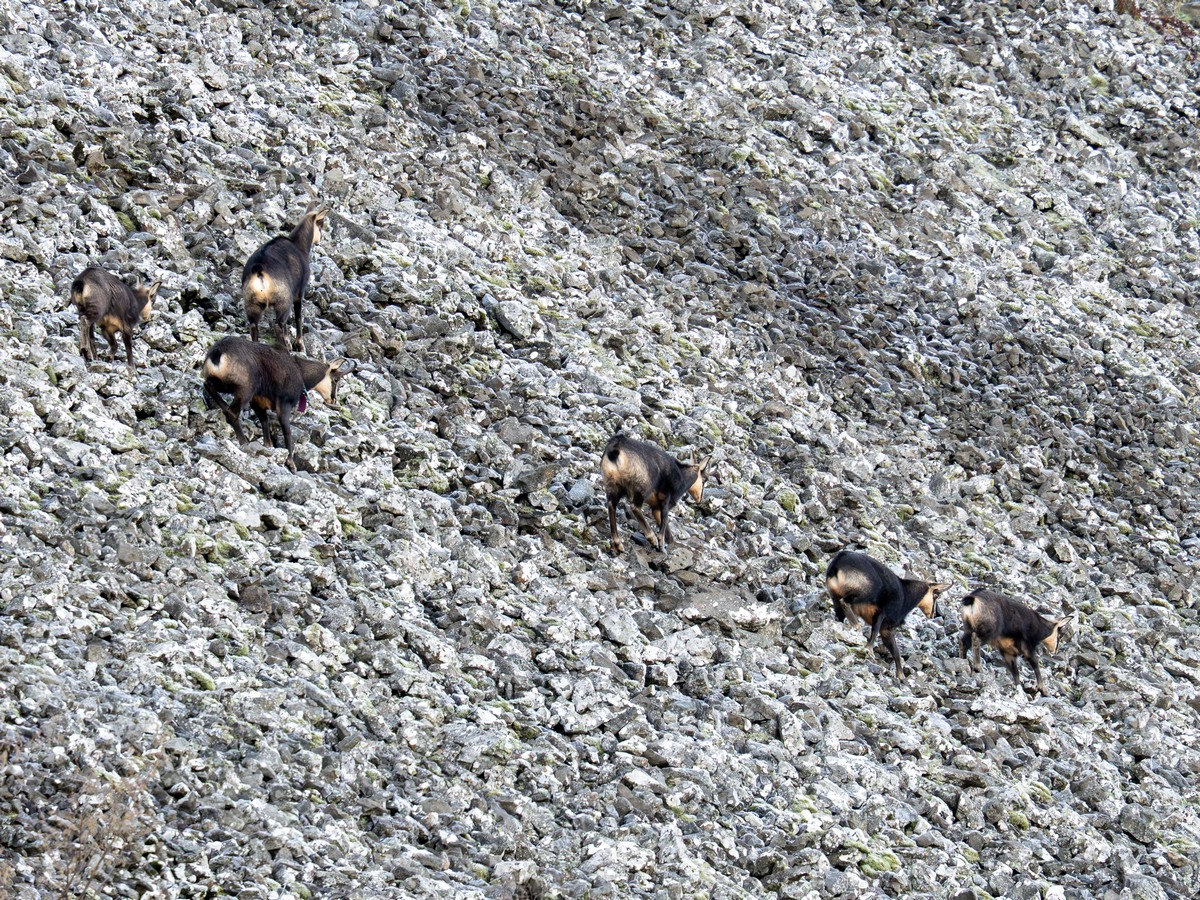 01122025-01 12 25 (6).jpg